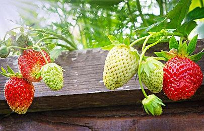 从工厂辞职后，这个男人靠讲故事就成了tap榜一